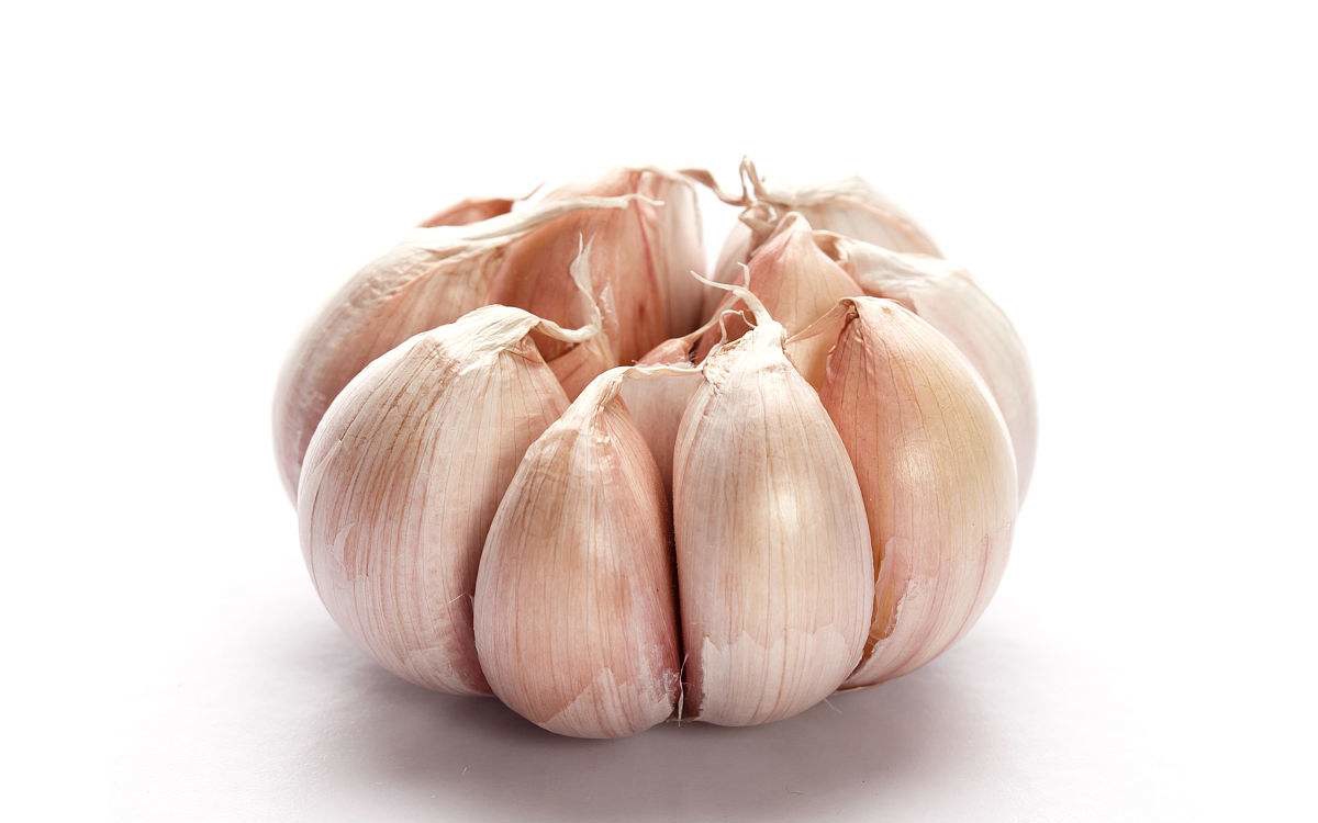 乳汁分析仪厂家提醒备孕的夫妇要警惕以下食物 乳汁分析仪厂家提醒备孕的夫妇要警惕以下食物