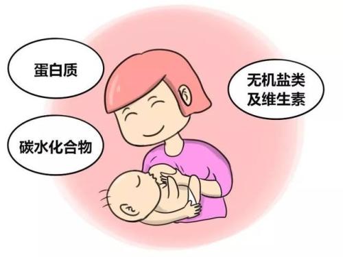 羞羞视频在线看免费品牌解析母乳由哪些成分构成