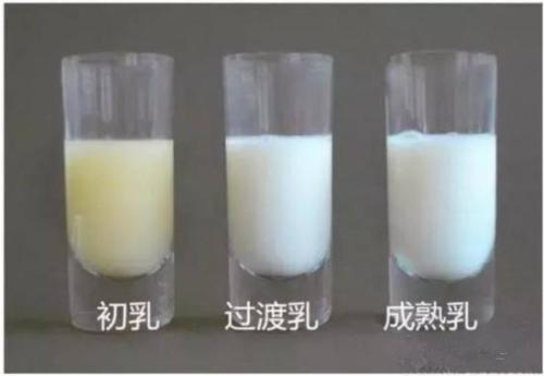 全自动羞羞视频在线看免费科普什么是成熟母乳